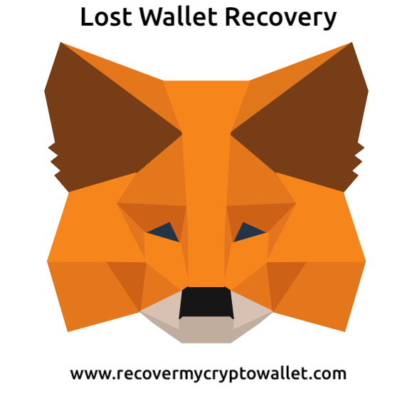 metamask-seed-words-extraction-crypto-wallet-recovery-services-safe